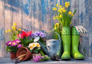 flowers, pots, daffodils, and green boots